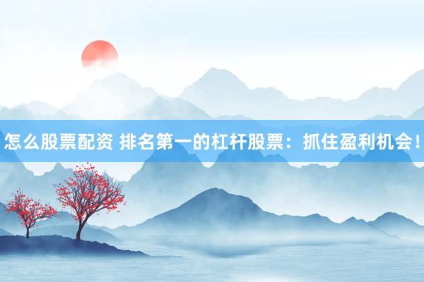 怎么股票配资 排名第一的杠杆股票：抓住盈利机会！