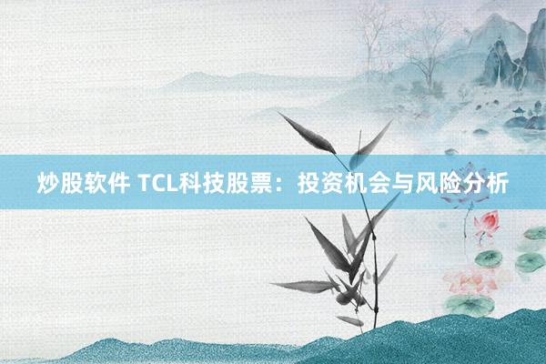 炒股软件 TCL科技股票：投资机会与风险分析