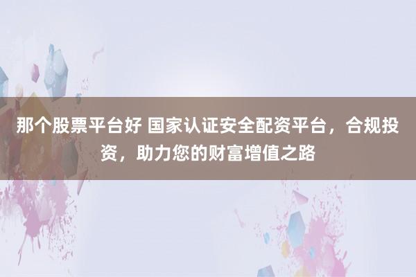 那个股票平台好 国家认证安全配资平台，合规投资，助力您的财富增值之路