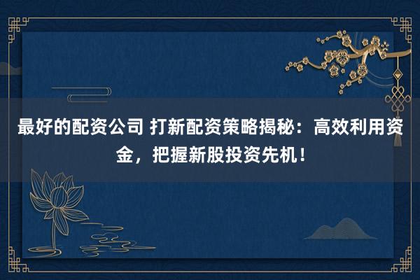 最好的配资公司 打新配资策略揭秘：高效利用资金，把握新股投资先机！