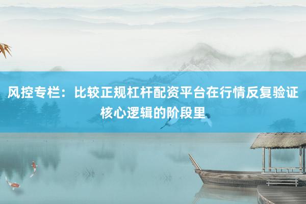 风控专栏：比较正规杠杆配资平台在行情反复验证核心逻辑的阶段里