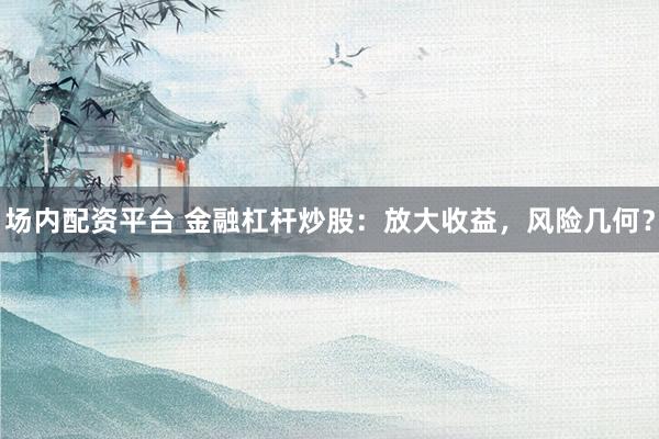 场内配资平台 金融杠杆炒股：放大收益，风险几何？