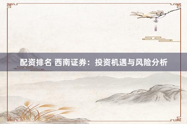 配资排名 西南证券：投资机遇与风险分析